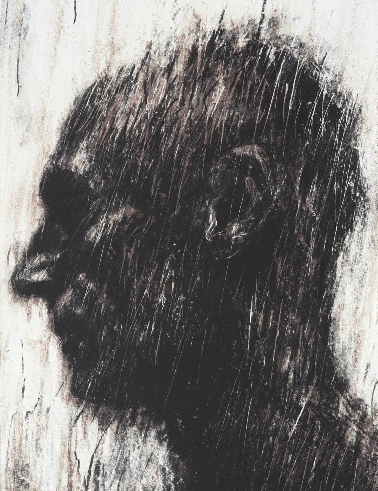 Johann Louw The Artists' Press