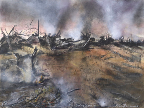 Spring Storm III – The Artists' Press