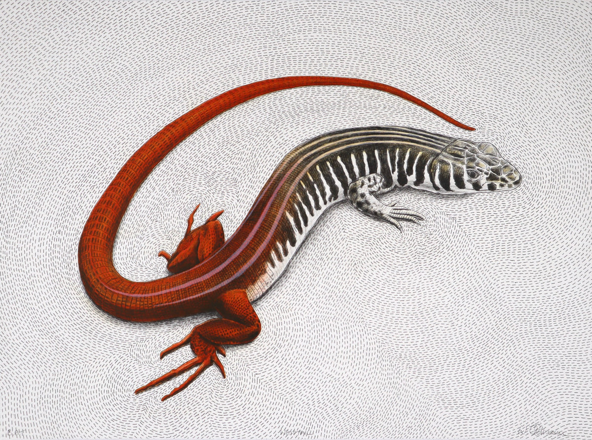 Whiptail Polytech Whiptail – The Artists' Press